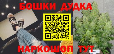 амф Будённовск